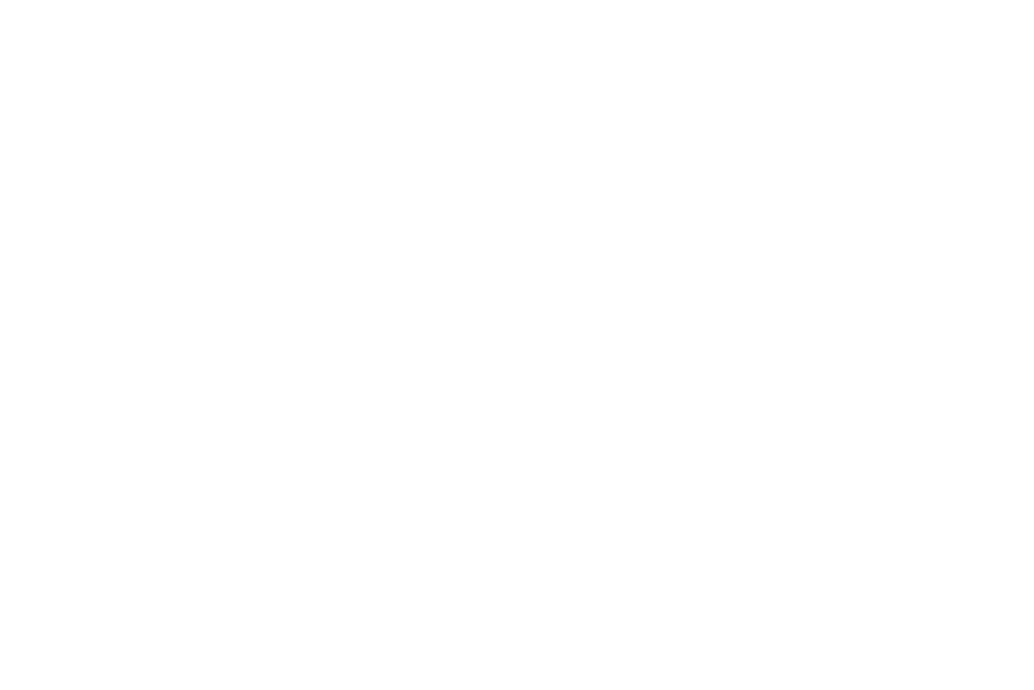 Fems Schadeadvies