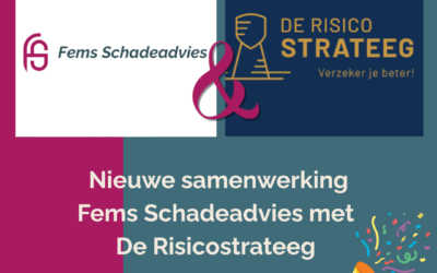 Nieuws: Nieuwe samenwerking met De Risicostrateeg