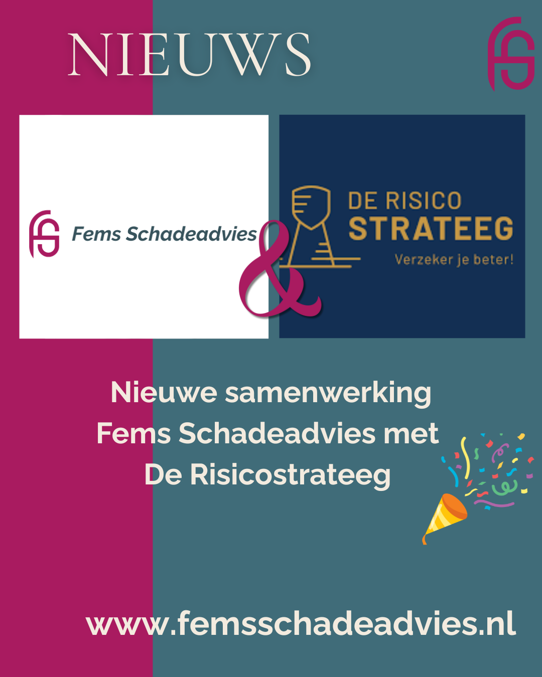 nieuwe samenwerking Fems Schadeadvies De Risicostrateeg schade schademelding schadeclaim schadeadviseur schadebehandelaar verzekeringen