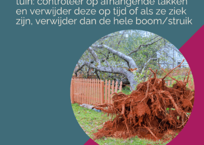 Storm stormschade schade bij storm voorkomen 10 maatregelen om schade te voorkomen Femke Hup Fems Schadeadvies