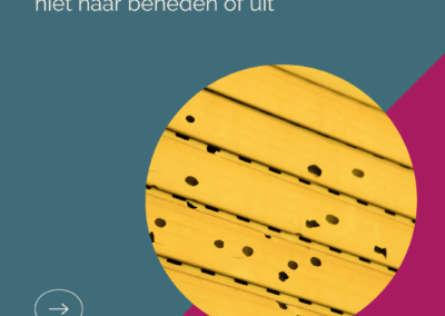 Storm stormschade schade bij storm voorkomen 10 maatregelen om schade te voorkomen Femke Hup Fems Schadeadvies