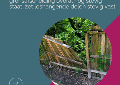 Storm stormschade schade bij storm voorkomen 10 maatregelen om schade te voorkomen Femke Hup Fems Schadeadvies